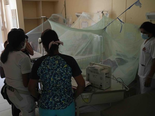Kasus DBD Meningkat, Peru Umumkan Darurat Kesehatan