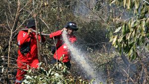 Kebakaran Lahan di Dumai Meluas