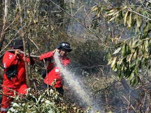 Kebakaran Lahan di Dumai Meluas