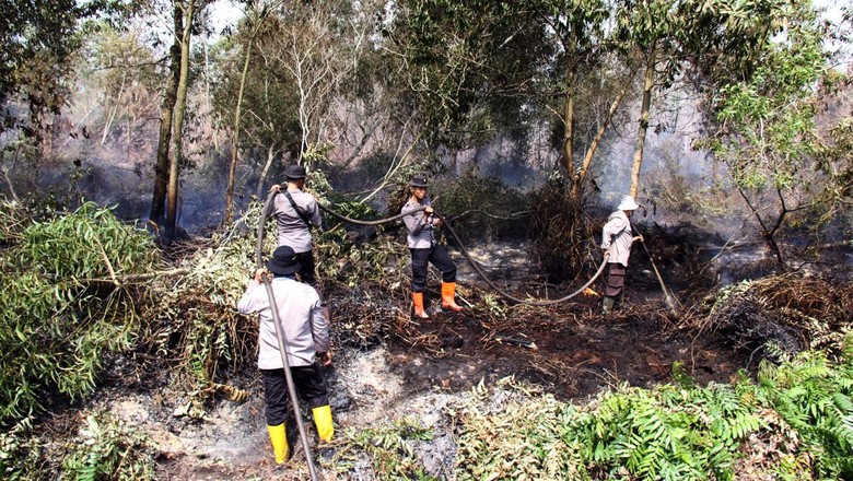 BMKG Deteksi Ada 32 Titik Panas di Kalimantan Tengah