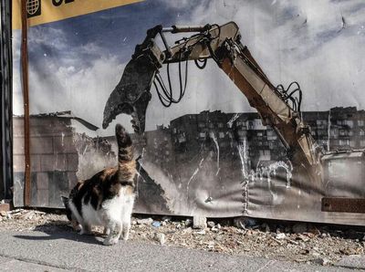 Berkat Timing yang Tepat, Foto Jalanan Ini Bikin Mindblowing