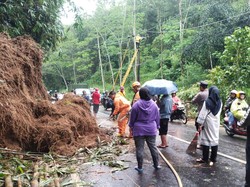 Tebing 15 Meter di Kaliangkrik Longsor, Jalan Magelang-Wonosobo Sempat Ditutup