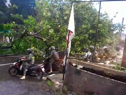 Tolong! Ada Pohon Tumbang di Tengah Jalan Arah Pondok Indah Mall Bikin Macet