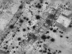 Tentara Israel Tembaki Warga Gaza Saat Berebut Bantuan, Ratusan Tewas