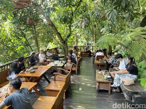 Ngopi Bonus View Ijo-ijo di Denpasar, di Sini Tempatnya Ngopi Bonus View Ijo-ijo di Denpasar, di Sini Tempatnya