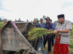 Panen Raya Padi di NTB, Pj Gubernur Optimistis Stok Beras Aman