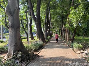 5 Rekomendasi Tempat Asyik Buat Jogging Tipis-tipis di Jakarta Utara 5 Rekomendasi Tempat Asyik Buat Jogging Tipis-tipis di Jakarta Utara