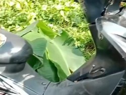 Saksi Dengar Ledakan Sebelum Saifullah Ditemukan Tewas dengan Luka Bakar