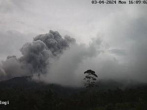 Merapi Muntahkan Awan Panas Guguran 2,6 Km Sore Ini