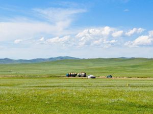 Macam-macam Flora dan Fauna di Bioma Stepa, Ada Akasia dan Ular