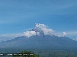 Gunung Semeru Erupsi 2 Kali, Ketinggian Abu Vulkanik 500 dan 800 Meter