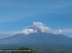 Gunung Semeru Erupsi 2 Kali, Ketinggian Abu Vulkanik 500 dan 800 Meter