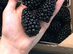 Kalender Jawa Jumat Legi 20 Desember 2024: Rezeki di Mana-mana