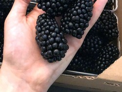 Kalender Jawa Jumat Legi 20 Desember 2024: Rezeki di Mana-mana