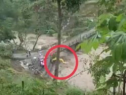 Banjir Terjang Pekalongan, Sapi-Alat Berat Hanyut