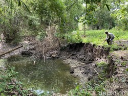 Warga Ngawi Keluhkan Lahan Pertaniannya Longsor Tergerus Banjir