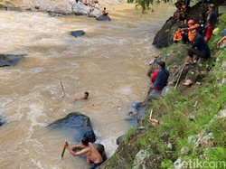 Mengenal 12 Pola Aliran Sungai, Ada yang Sejajar Hingga Bercabang