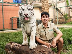 Setelah 2 Tahun, Alshad Ahmad Jelaskan soal Perpisahan dengan Nissa Asyifa Setelah 2 Tahun, Alshad Ahmad Jelaskan soal Perpisahan dengan Nissa Asyifa