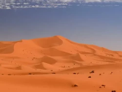 Rumah Mewah yang Pernah Dihuni Raja Maroko Dijual, Harganya Rp 7,3 T