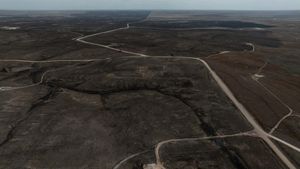 Foto Udara Lahan yang Hangus Terbakar di Texas