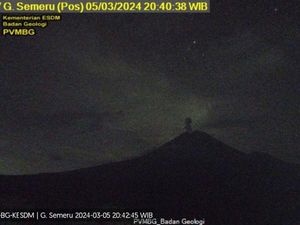 Gunung Semeru Erupsi Lagi, Muntahkan Abu Vulkanik Setinggi 800 Meter