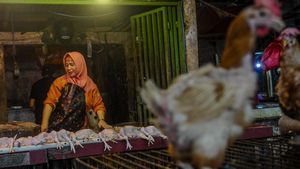 Harga Ayam Potong di Rangkasbitung Naik Jelang Ramadan