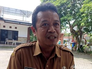 Peternak Blitar Dapat Subsidi Pakan, Harga Ayam-Telor Dipastikan Stabil Peternak Blitar Dapat Subsidi Pakan, Harga Ayam-Telor Dipastikan Stabil