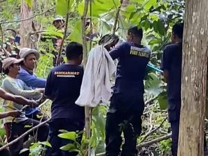 Evakuasi Piton di Saptosari Gunungkidul, Damkar Sampai Harus Tebang Pohon