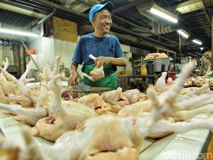 Harga Cabai Turun, Telur Ayam-Puyuh di Surabaya Naik Jelang Ramadan Harga Cabai Turun, Telur Ayam-Puyuh di Surabaya Naik Jelang Ramadan