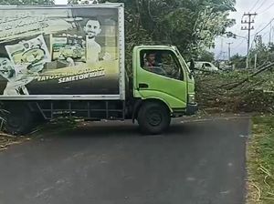 Truk Boks Tertimpa Pohon Tumbang Setelah Kirim Mi Instan di Klungkung