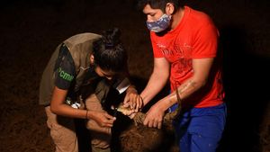 Aksi Pecinta Hewan Selamatkan Satwa Liar dari Banjir Bolivia