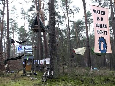 Aktivis Bangun Rumah Pohon untuk Tolak Ekspansi Pabrik Tesla di Jerman