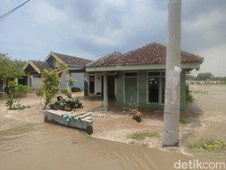 Tanggul Sungai Sadar Mojokerto Jebol, 500 Rumah dan 97 Ha Sawah Terendam