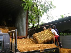 Bea Cukai Madura Kawal Ekspor Cocofiber Pamekasan ke Pasar China
