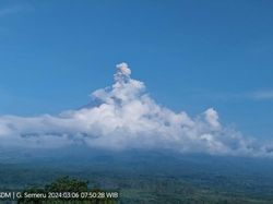 Gunung Semeru Erupsi 3 Kali Pagi Ini, Tinggi Abu Vulkanik Capai 1 Km