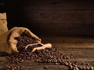 Keunikan Kopi di Indonesia Dimulai dari Kebun Warga Keunikan Kopi di Indonesia Dimulai dari Kebun Warga