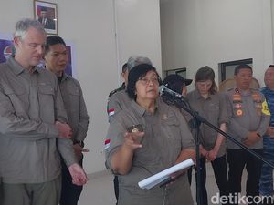 Momen KLHK Lepasliarkan 2 Harimau Sumatera di TN Gunung Leuser Momen KLHK Lepasliarkan 2 Harimau Sumatera di TN Gunung Leuser