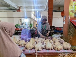 Harga Sembako Jogja Hari Ini 23 Maret 2025: Daging Ayam Rp 35 Ribuan Sekilo
