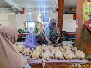 Harga Daging Ayam di Demak Melejit, Pedagang: Tiap Hari Naik Harga Daging Ayam di Demak Melejit, Pedagang: Tiap Hari Naik