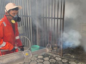 123 Kasus DBD Ditemukan di Blitar, Bagaimana Upaya Dinkes?