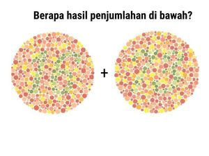 Tes Buta Warna, Anak IPA Harusnya Benar Semua Tes Buta Warna, Anak IPA Harusnya Benar Semua