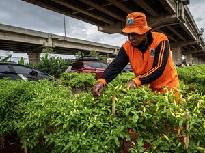 Pemprov Jakarta Buka 1.652 Lowongan Petugas PPSU, Ini Syarat Lulusannya Pemprov Jakarta Buka 1.652 Lowongan Petugas PPSU, Ini Syarat Lulusannya