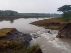 Waduk Prangi Bojonegoro Jebol 25 Meter Genangi 20 Hektare Sawah Siap Panen