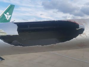 Ngenes, Pesawat Baru Saudia B787 Dreamliner Bolong Ditabrak Burung Ngenes, Pesawat Baru Saudia B787 Dreamliner Bolong Ditabrak Burung