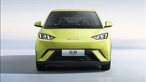 Foto BYD Dolphin Mini yang Terdaftar di RI