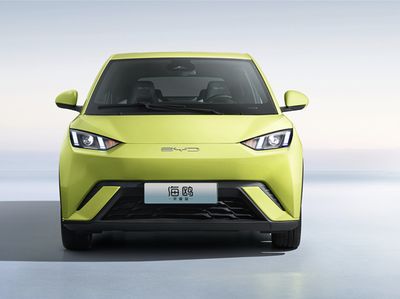 Foto BYD Dolphin Mini yang Terdaftar di RI