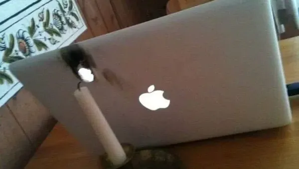 Deretan Foto Kesialan yang Bikin Elus Dada, Kamu Pernah Mengalami?