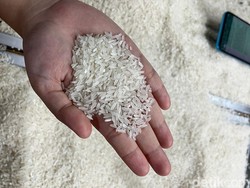 Stok Berlimpah tapi Harga Beras Naik
