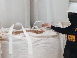 Bea Cukai Ternate Kawal Ekspor Perdana Wood Pellet ke Jepang