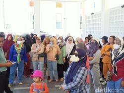 Derita 500 Kader KB Palopo Gaji Rp 300 Ribu 6 Bulan Belum Diterima